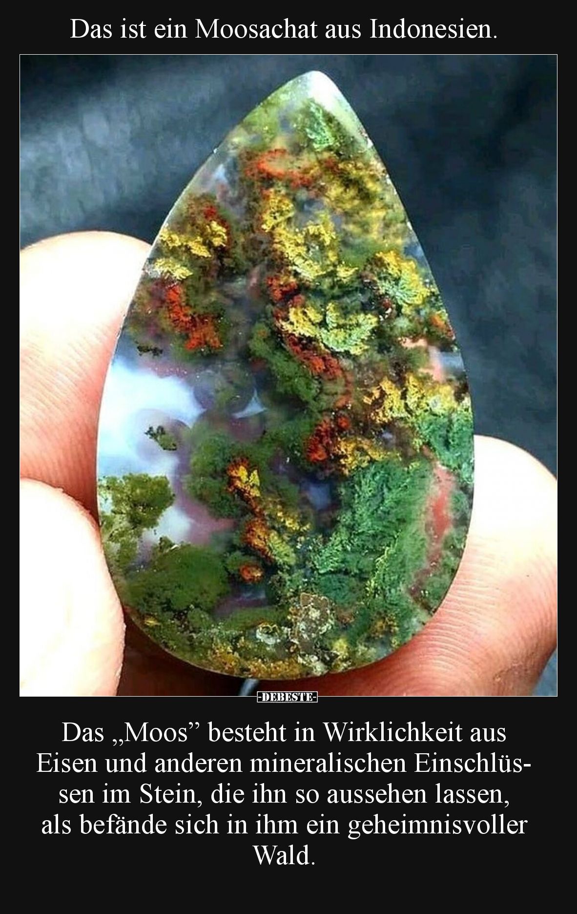 Das ist ein Moosachat aus Indonesien... - Lustige Bilder | DEBESTE.de