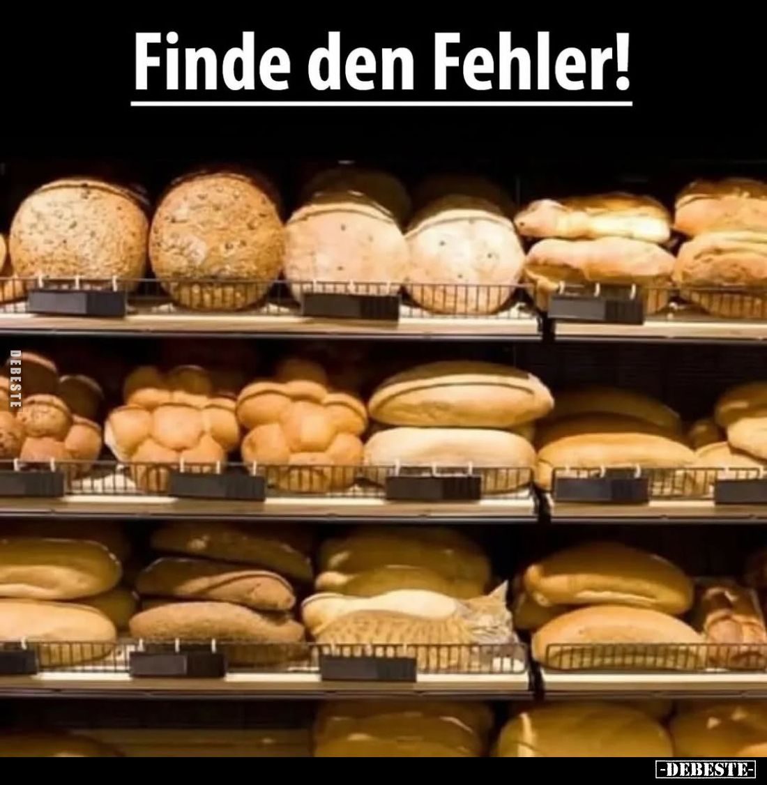 Finde den Fehler!