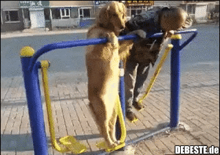 Abhängen mit Herrchen..