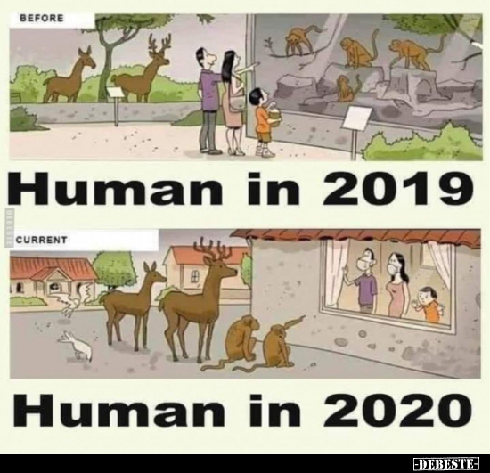 Human in 2019..