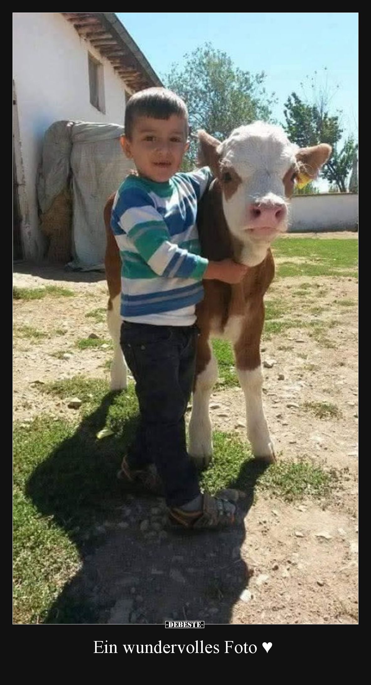 Ein wundervolles Foto!