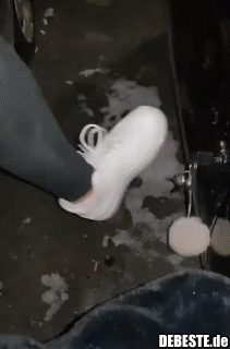 Dumm ist der, der Dummes tut...