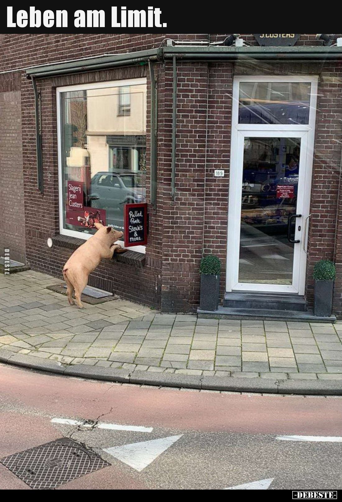 Leben am Limit... - Lustige Bilder | DEBESTE.de