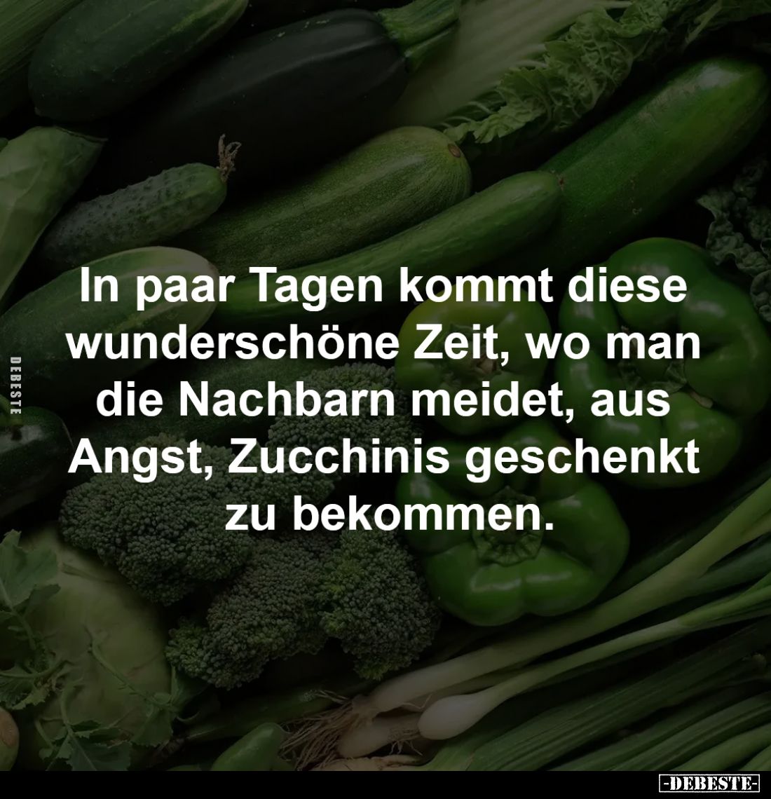 In paar Tagen kommt diese
wunderschöne Zeit, wo man
die Nachbarn meidet, aus
Angst, Zucchinis geschenkt
zu bekommen.