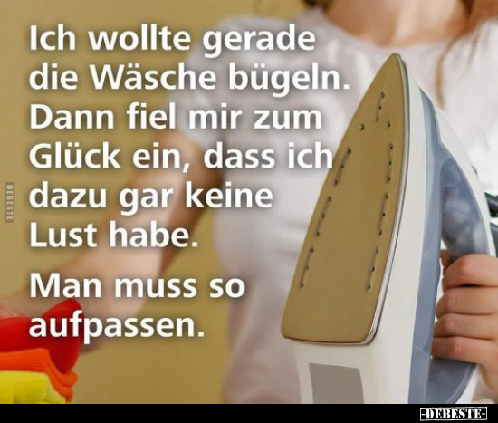 Ich wollte gerade die Wäsche bügeln.. - Lustige Bilder | DEBESTE.de