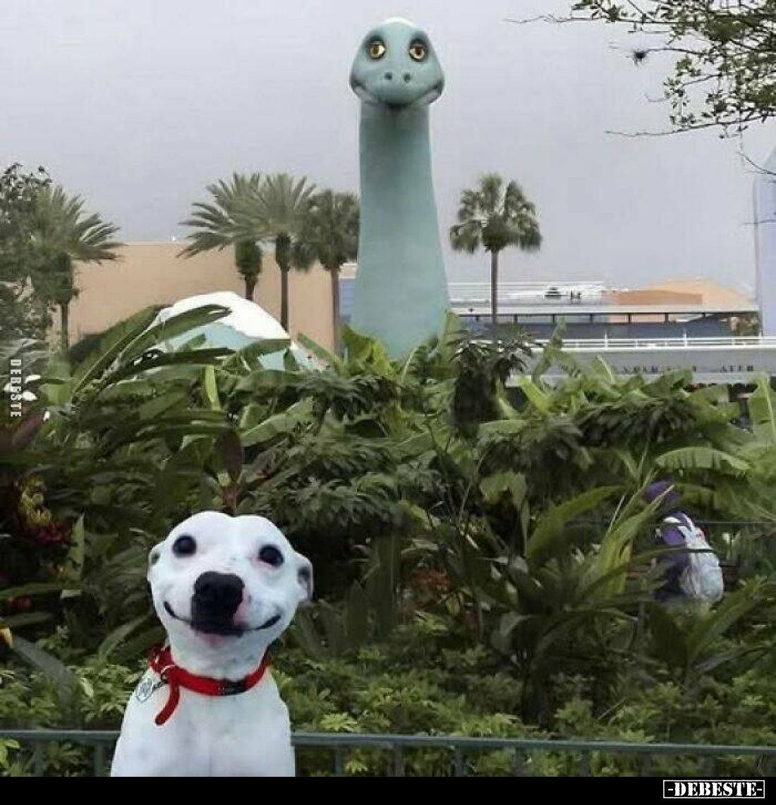  - Lustige Bilder | DEBESTE.de