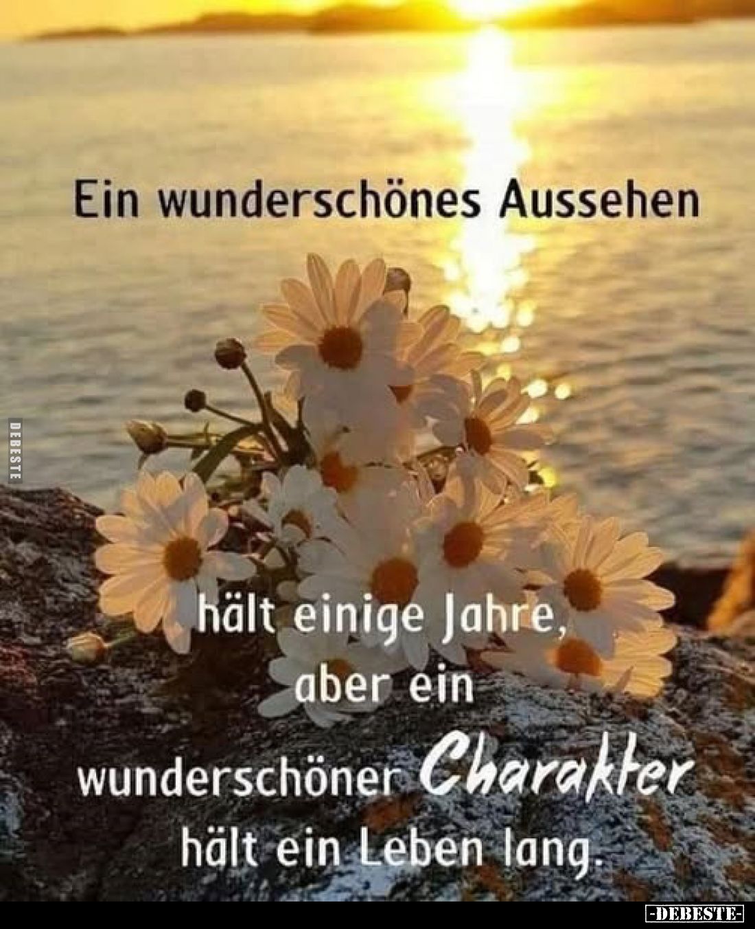 Ein wunderschönes Aussehen,
hält einige Jahre, aber ein wunderschöner Charakter hält ein Leben lang.