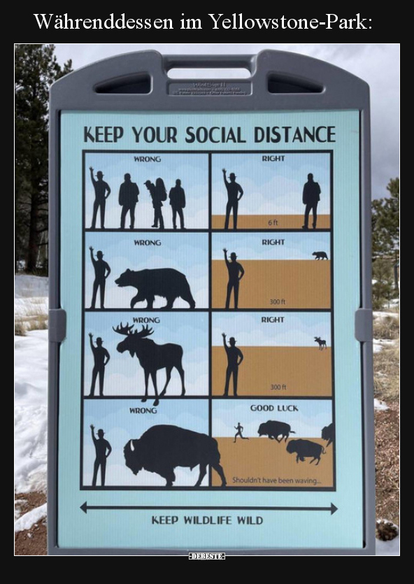 Währenddessen im Yellowstone-Park..