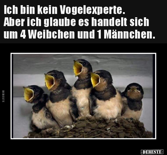 Ich bin kein Vogelexperte.. - Lustige Bilder | DEBESTE.de