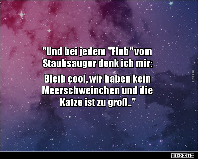 "Und bei jedem "Flub" vom Staubsauger denk ich.. - Lustige Bilder | DEBESTE.de