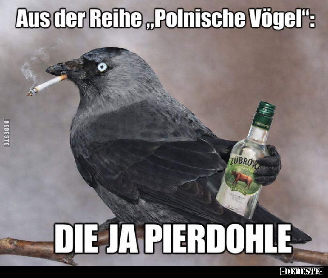 Aus der Reihe "Polnische Vögel".. - Lustige Bilder | DEBESTE.de