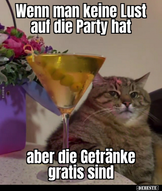 Wenn man keine Lust auf die Party hat, aber die Getränke.. - Lustige Bilder | DEBESTE.de