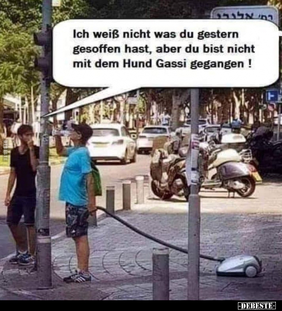 Ich weiß nicht was du gestern gesoffen hast, aber du bist..