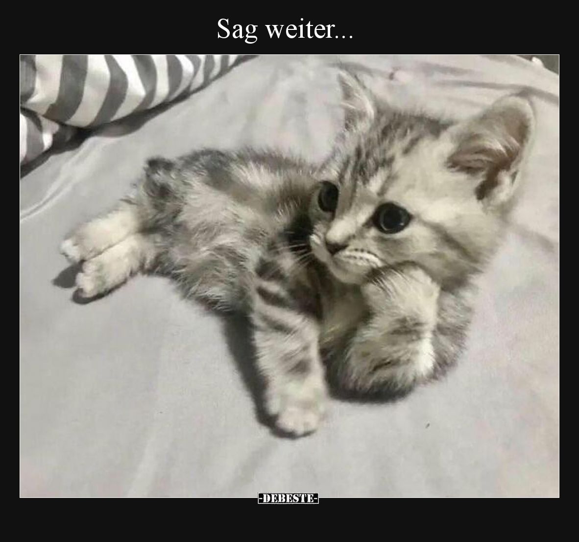 Sag weiter... - Lustige Bilder | DEBESTE.de