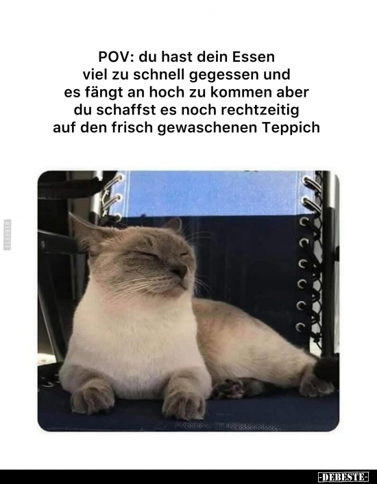 Essen, Kommen, Teppich