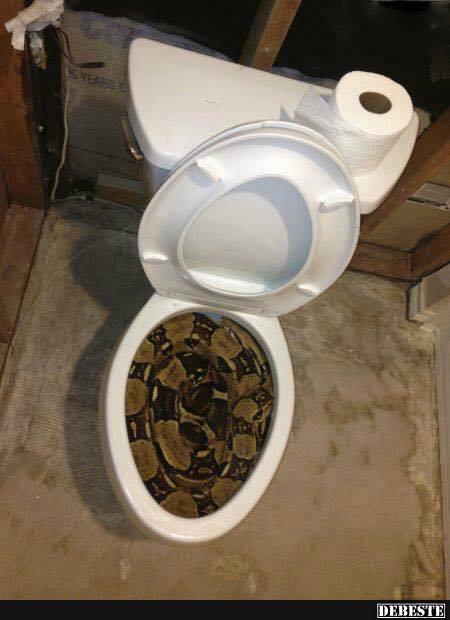 Überraschung am Morgen :)