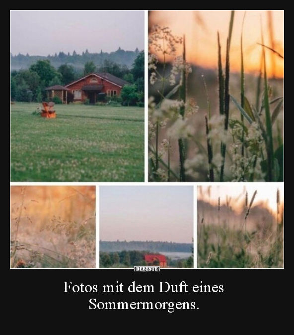 Fotos mit dem Duft eines Sommermorgens... - Lustige Bilder | DEBESTE.de