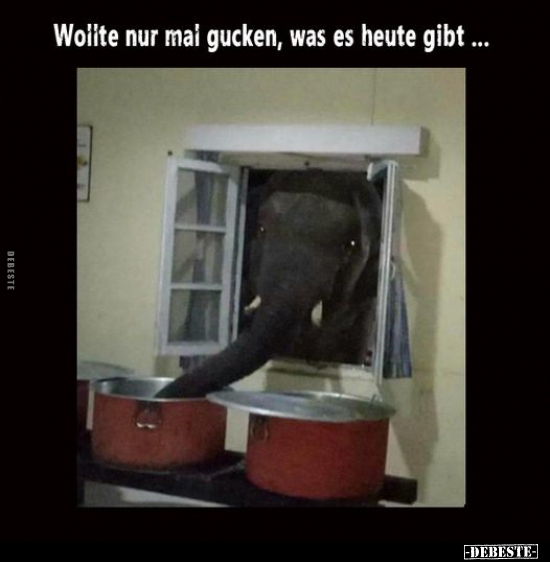 Wollte nur mal gucken, was es heute gibt... - Lustige Bilder | DEBESTE.de