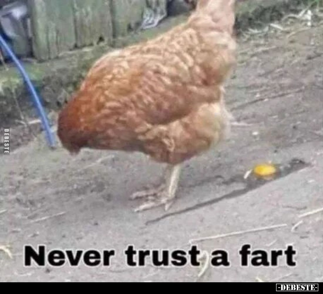  - Lustige Bilder | DEBESTE.de