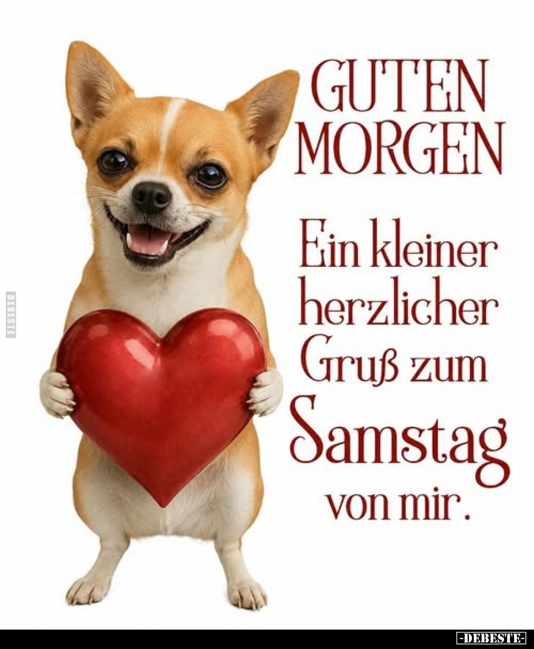 Guten Morgen
-
Ein kleiner herzlicher Gruß zum Samstag von mir.