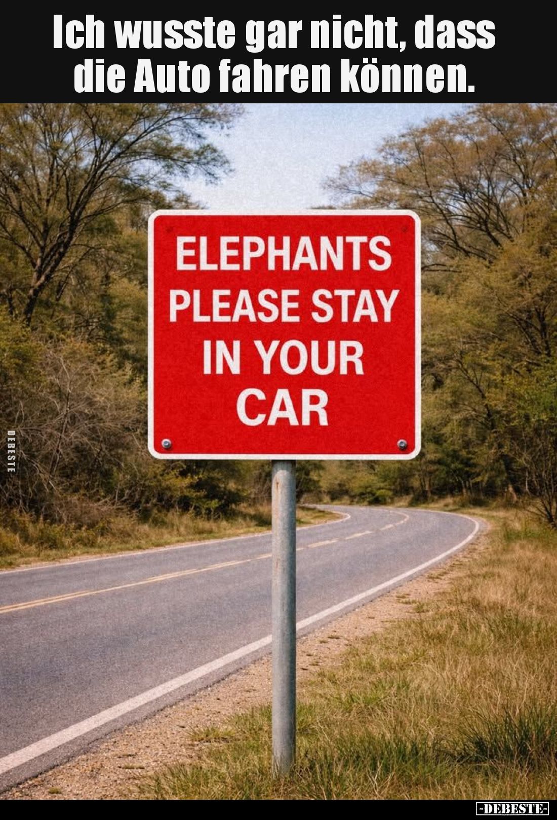 Ich wusste gar nicht, dass die Auto fahren können... - Lustige Bilder | DEBESTE.de