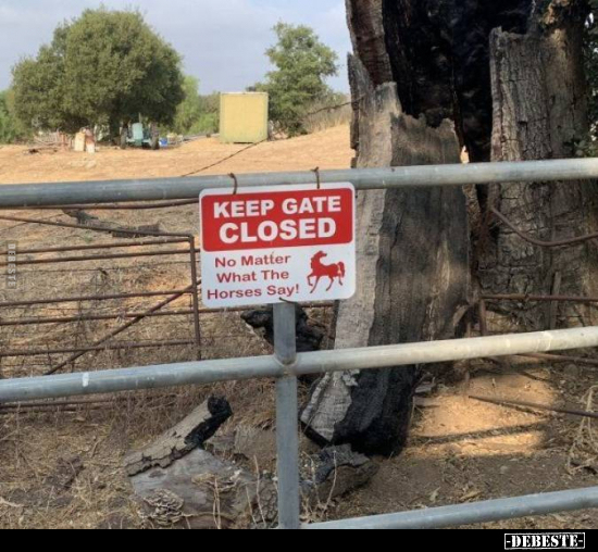  - Lustige Bilder | DEBESTE.de