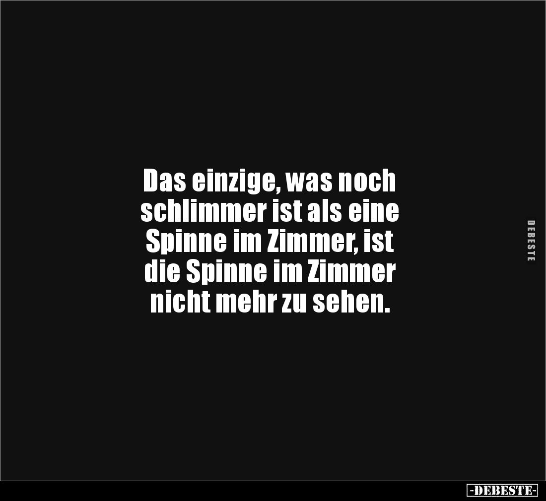 Das einzige, was noch
schlimmer ist als eine
Spinne im Zimmer, ist
die Spinne im Zimmer
nicht mehr zu sehen.