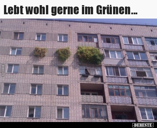 Lebt wohl gerne im Grünen...
