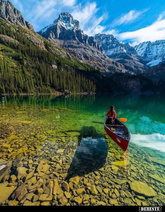  - Lustige Bilder | DEBESTE.de