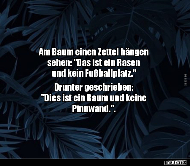 Am Baum einen Zettel hängen sehen: "Das ist ein Rasen und.." - Lustige Bilder | DEBESTE.de