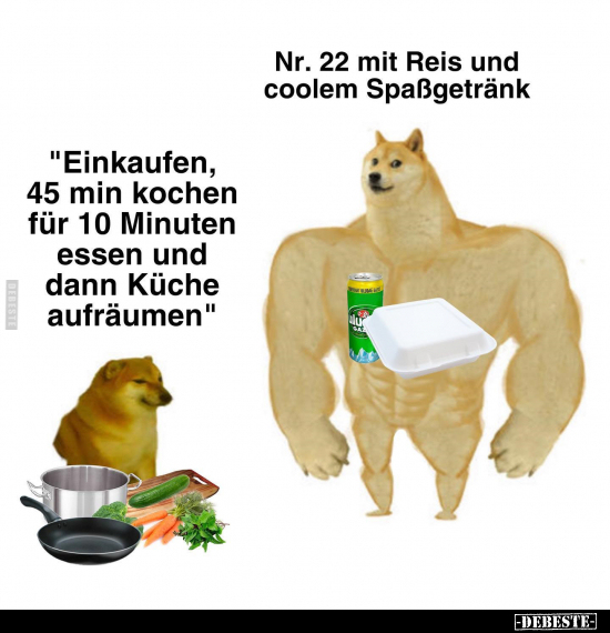 "Einkaufen, 45 min kochen für 10 Minuten essen und dann.." - Lustige Bilder | DEBESTE.de