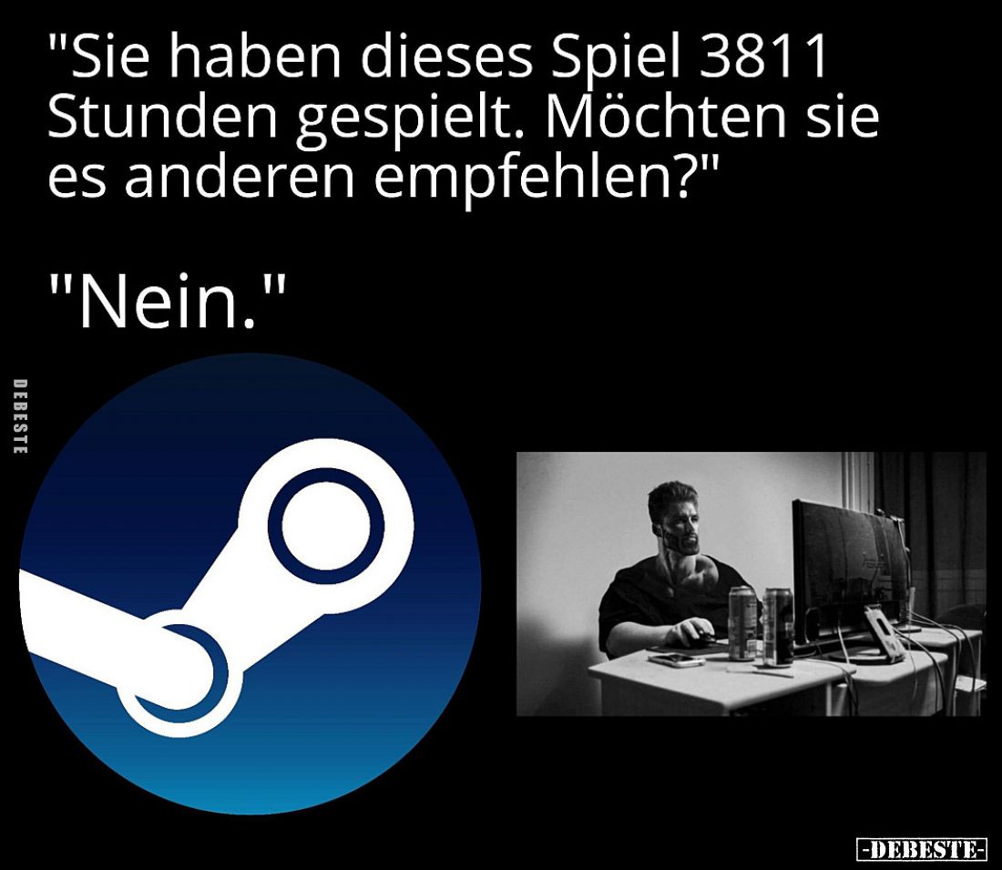 "Sie haben dieses Spiel 3811 Stunden gespielt. Möchten Sie es anderen empfehlen?"

"Nein."
