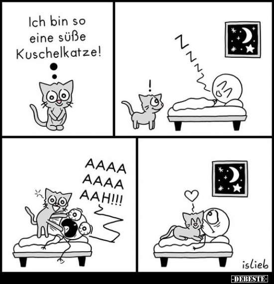 Ich bin so eine süße Kuschelkatze!.. - Lustige Bilder | DEBESTE.de