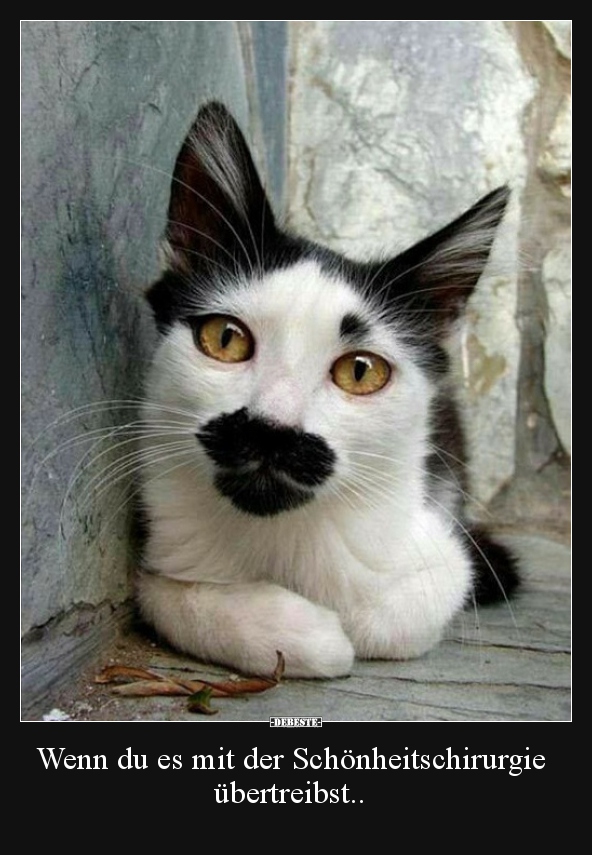 Wenn du es mit der Schönheitschirurgie übertreibst..