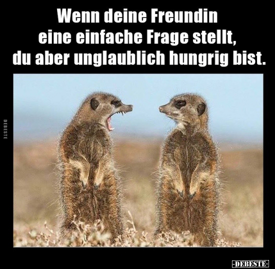 Wenn deine Freundin eine einfache Frage stellt, du aber..