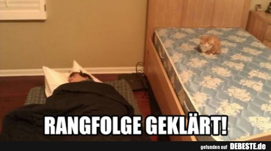 Rangfolge geklärt! - Lustige Bilder | DEBESTE.de