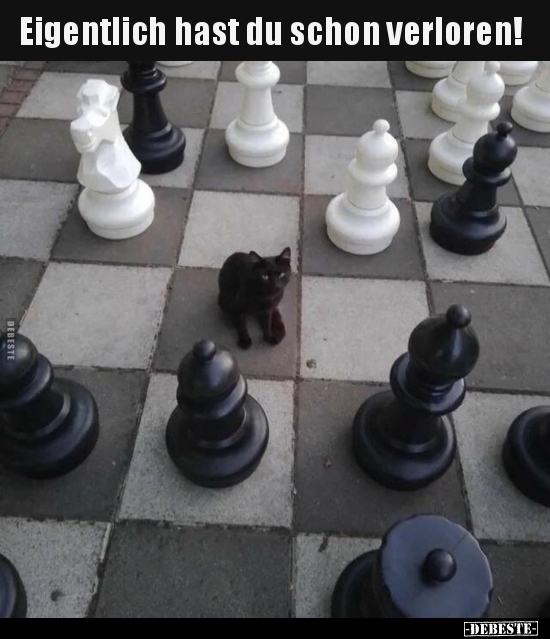 Eigentlich hast du schon verloren!