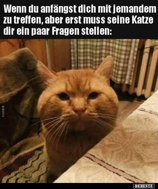 Wenn du anfängst dich mit jemandem zu treffen, aber erst..
