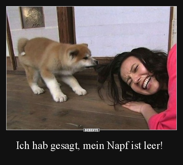 Ich hab gesagt, mein Napf ist leer!