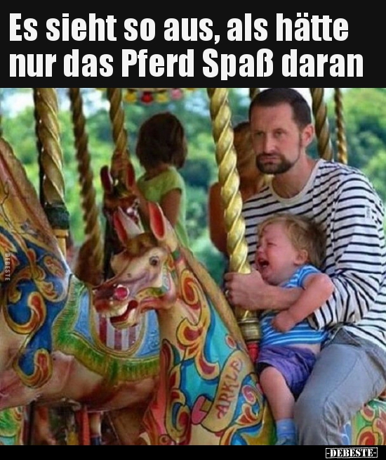 Es sieht so aus, als hätte nur das Pferd Spaß daran..