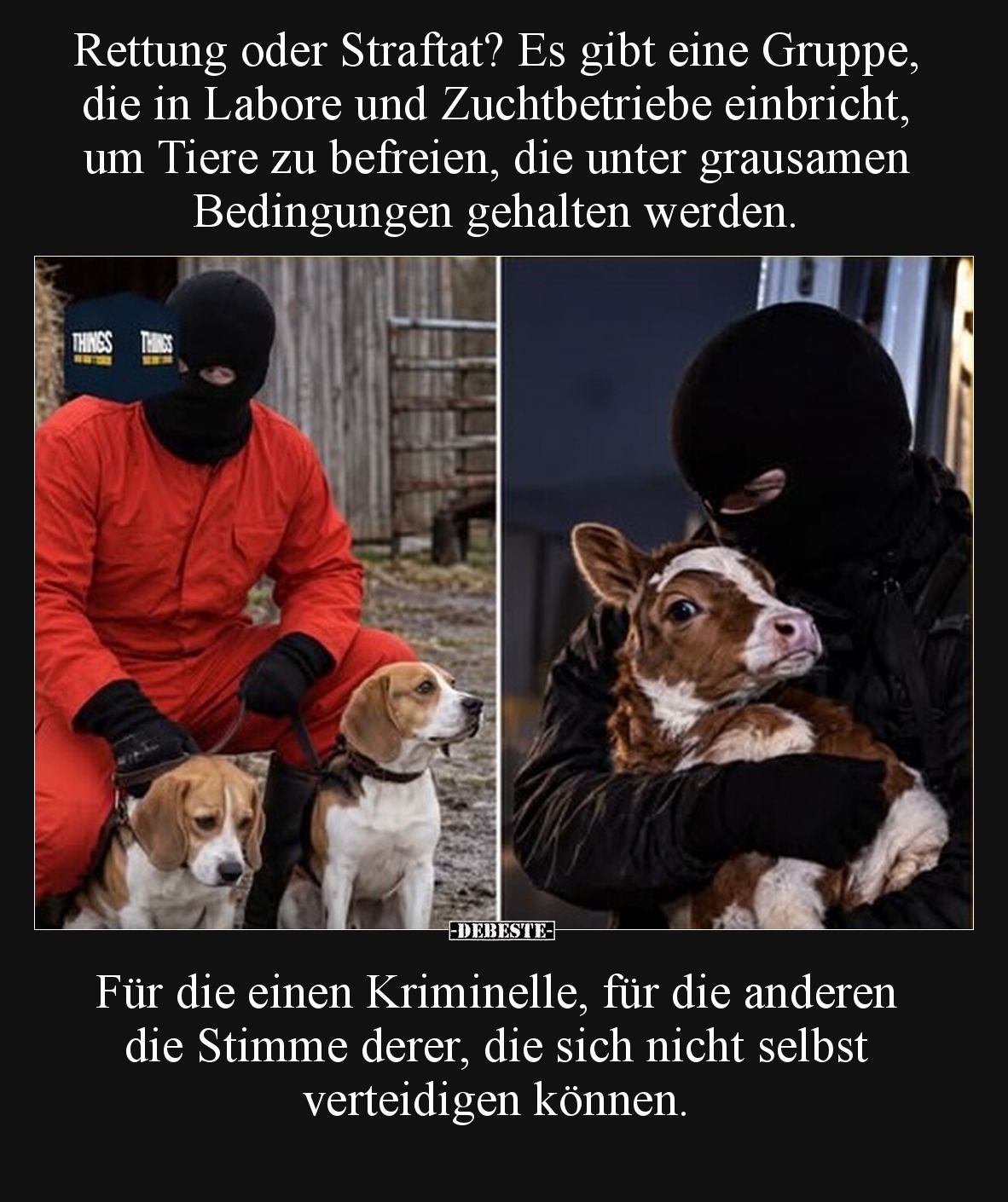 Rettung oder Straftat? Es gibt eine Gruppe, die in Labore und Zuchtbetriebe einbricht, um Tiere zu befreien, die unter grausa...