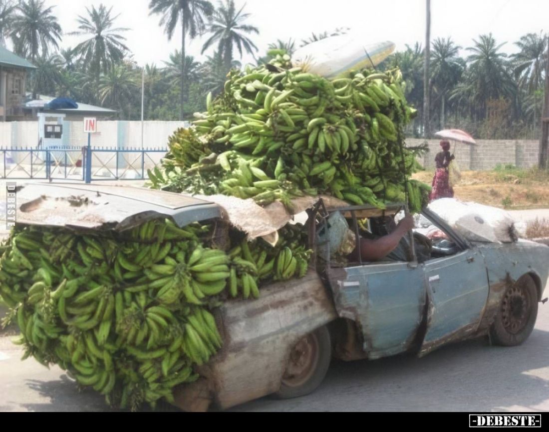  - Lustige Bilder | DEBESTE.de