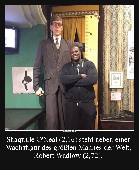 Shaquille O'Neal (2,16) steht neben einer Wachsfigur des.. - Lustige Bilder | DEBESTE.de