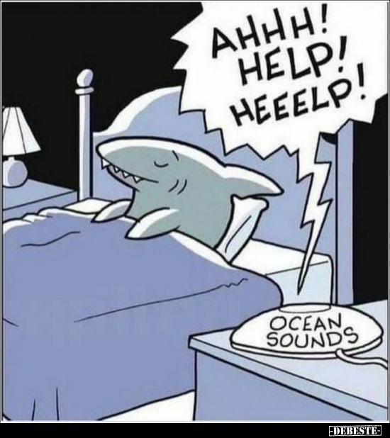  - Lustige Bilder | DEBESTE.de