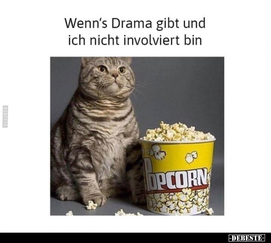Wenn's Drama gibt und ich nicht involviert bin