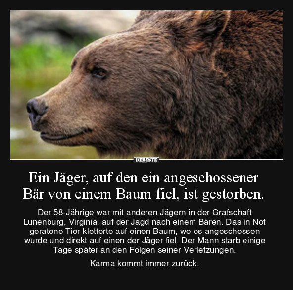 Ein Jäger, auf den ein angeschossener Bär von einem Baum.. - Lustige Bilder | DEBESTE.de