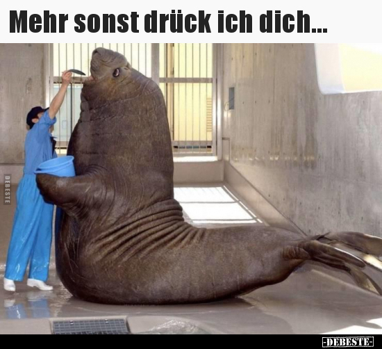 Mehr sonst drück ich dich...
