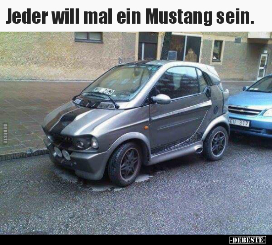 Jeder will mal ein Mustang sein... - Lustige Bilder | DEBESTE.de