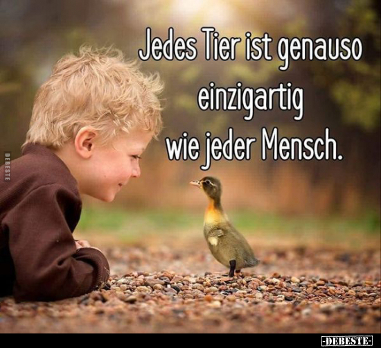 Jedes Tier ist genauso einzigartig wie jeder Mensch... - Lustige Bilder | DEBESTE.de