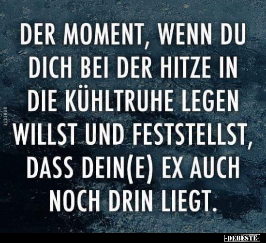 Der Moment, wenn du dich bei der Hitze in die Kühltruhe..